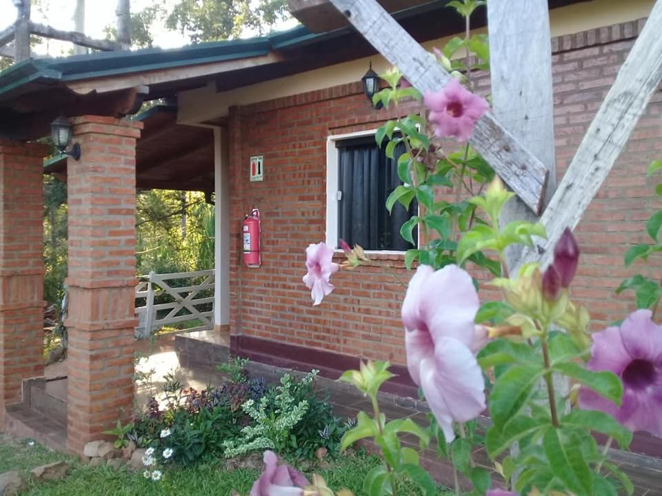 Cabanas Y Boungalow Don Oscar Hotel Encarnación Екстериор снимка