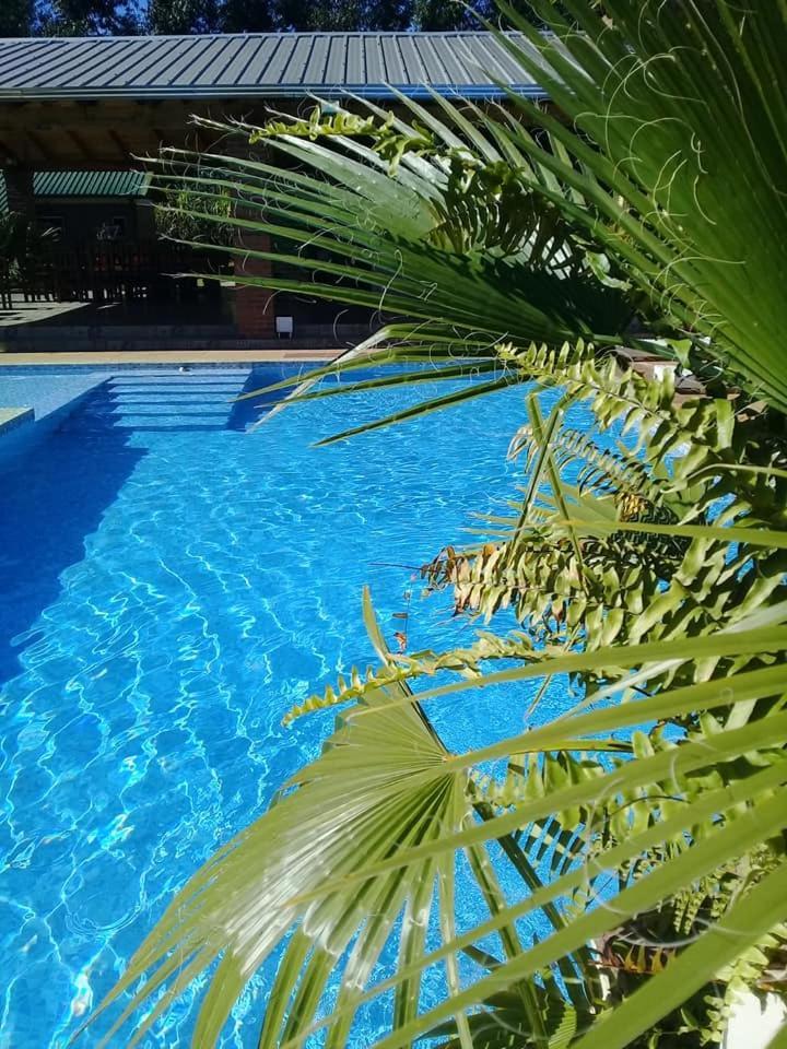 Cabanas Y Boungalow Don Oscar Hotel Encarnación Екстериор снимка